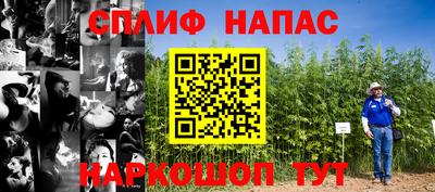 мяу мяу мука Бугуруслан